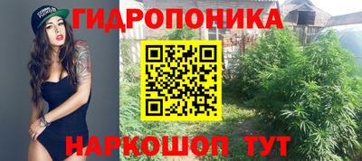 ешки Лесосибирск