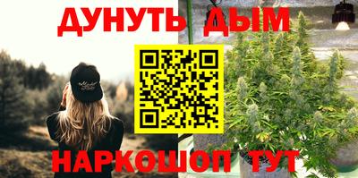 гашик Ливны