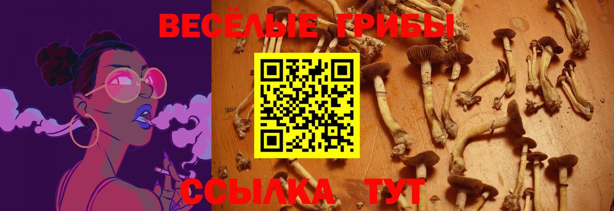Псилоцибиновые грибы мицелий  Вход с VPN  Чистополь 